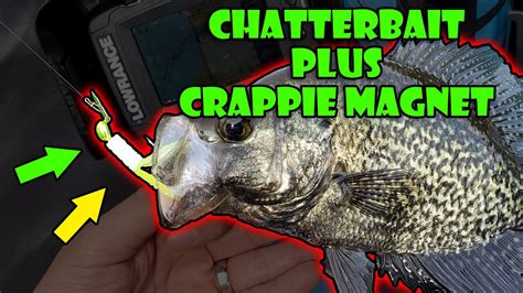 chatterbait live|chatterbaiting for crappie